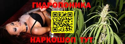 jwh Краснодар