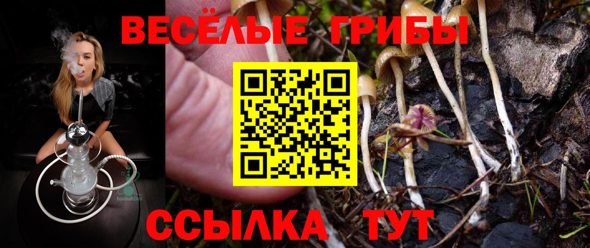 Псилоцибиновые грибы Magic Shrooms  Вход с VPN  Псилоцибиновые грибы ЛСД  Кирово-Чепецк 