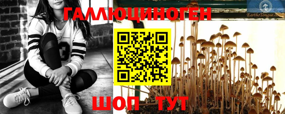 Галлюциногенные грибы MAGIC MUSHROOMS Кирово-Чепецк